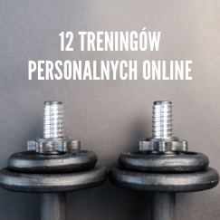 Próbny Trening Personalny Online (2)